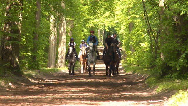 Chantilly Le Royaume Du Cheval Extrait Meteo A La Carte En Streaming France Tv