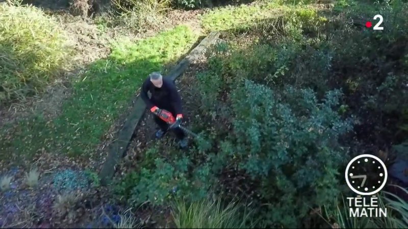 Jardin La Taille Des Arbres Extrait Vid O T L Matin