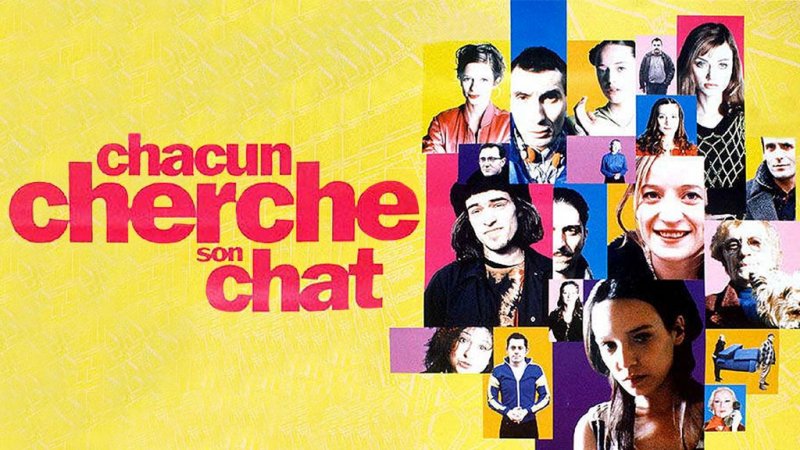 Chacun Cherche Son Chat Sur France 2 Tous Les Replay Sur France Tv