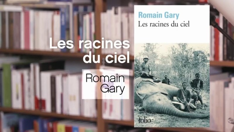 Les Racines Du Ciel Romain Gary En Replay La Ptite Librairie 