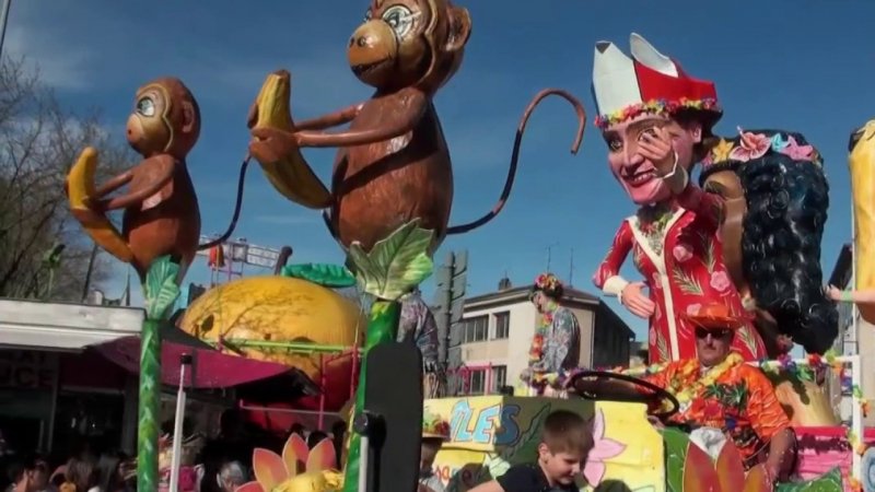 Carnaval d'Albi - Albi Tourisme