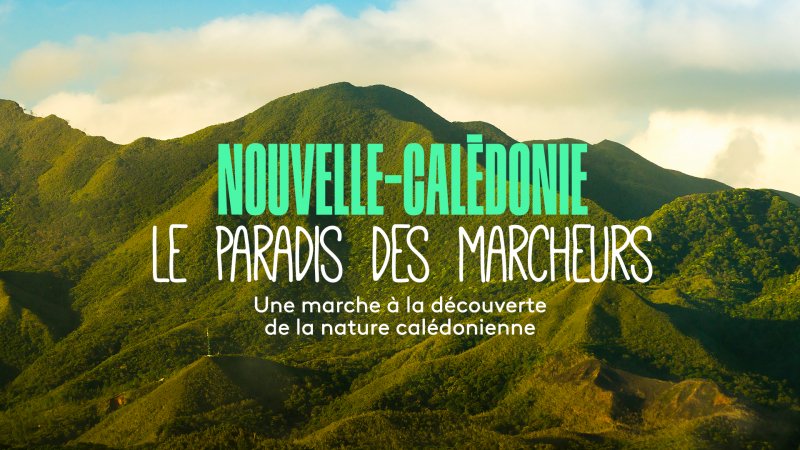 Nouvelle Caledonie Le Paradis Des Marcheurs En Streaming Replay France O France Tv