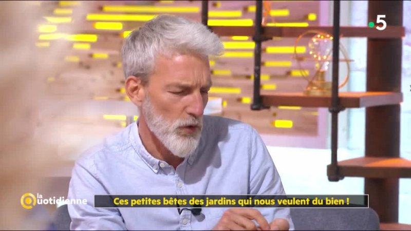 La Quotidienne Peut On Faire Confiance A L Eau Du Robinet En Streaming Replay France 5 France Tv