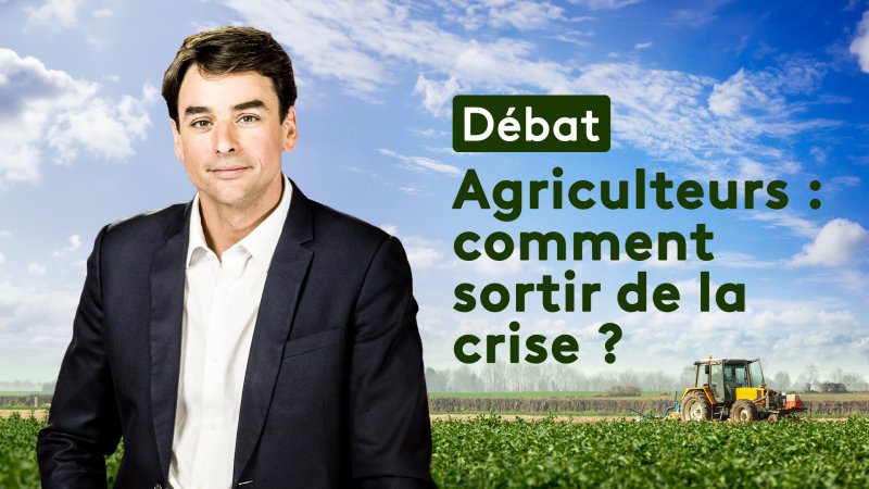 Débat : Agriculteurs : Comment Sortir De La Crise ? En Replay - Débat