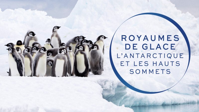 Lantarctique Et Les Hauts Sommets Documentaire En Replay