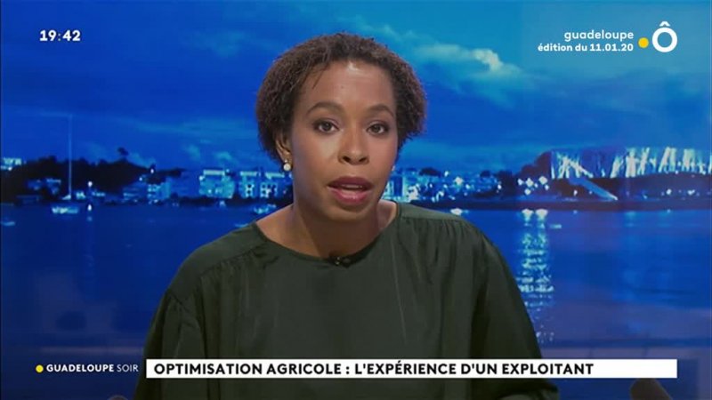 Émission Du Dimanche 12 Janvier 2020 En Replay - Journal Guadeloupe