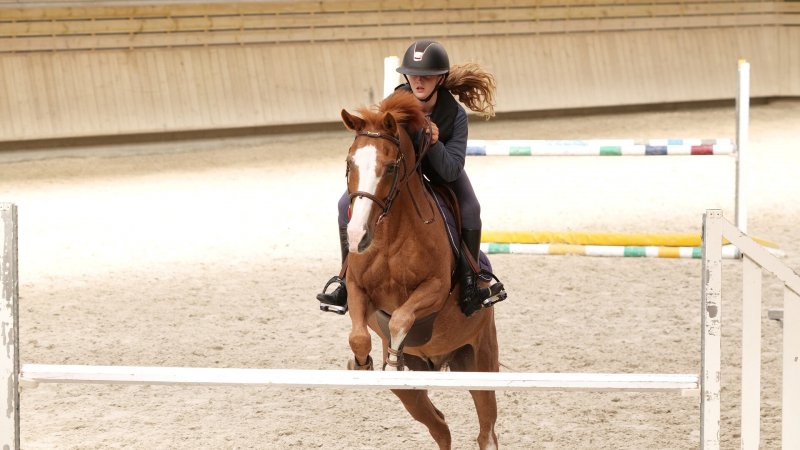 Sports équestres : le retour du Galop des Étoiles - SportPro