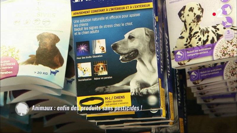 Replay Cest Au Programme Cest Au Programme Animaux