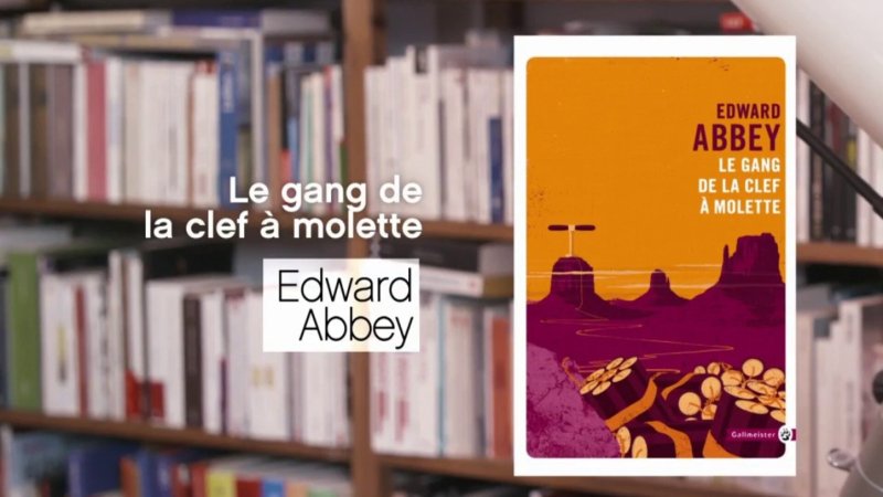 Replay La P'tite Librairie, La P'tite Librairie Le Gang De La Clef à ...