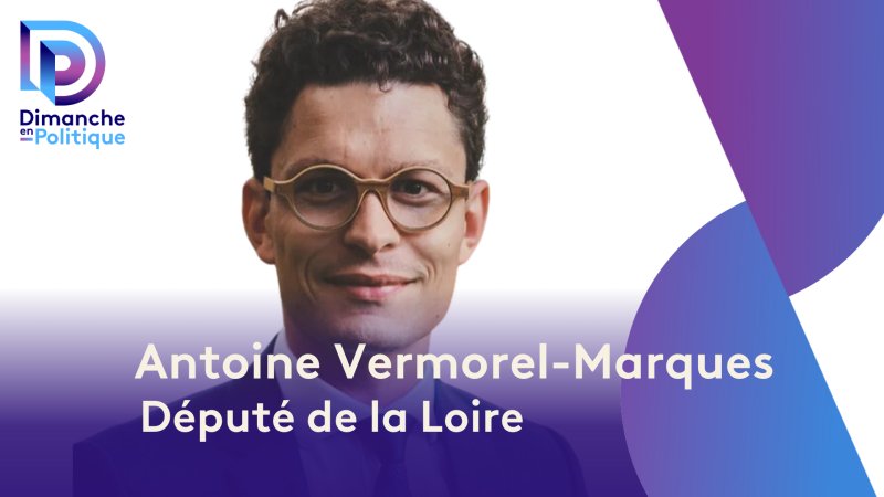 Antoine Vermorel-Marques, Député LR De La Loire En Replay - Dimanche En ...