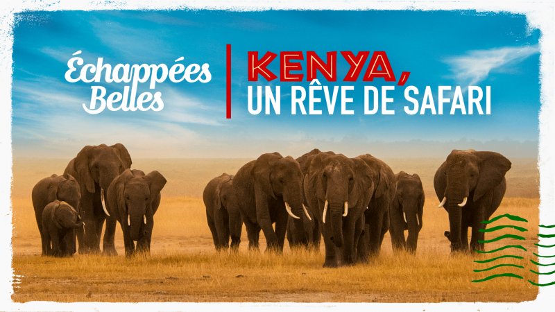 Safari en Afrique, un rêve possible 