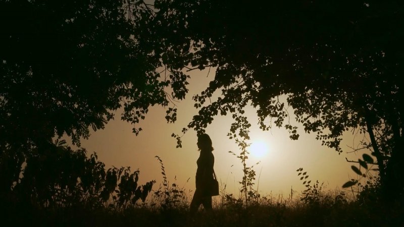 Les gardiens du fleuve - Documentaire en replay