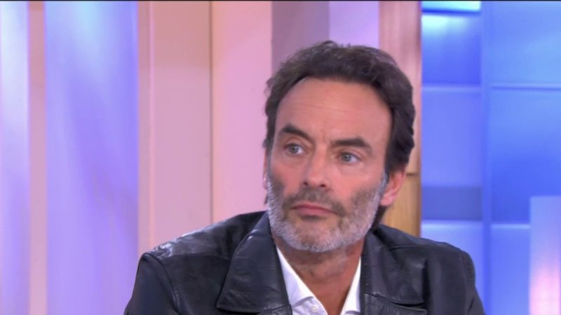 Alain Delon Les Derni Res R V Lations Extrait Vid O C L Hebdo