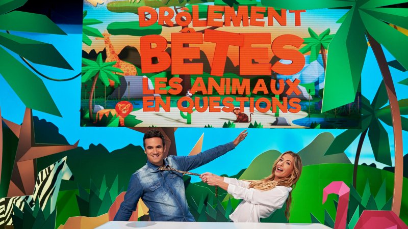 Drôlement Bêtes Les Animaux En Questions En Replay Revoir