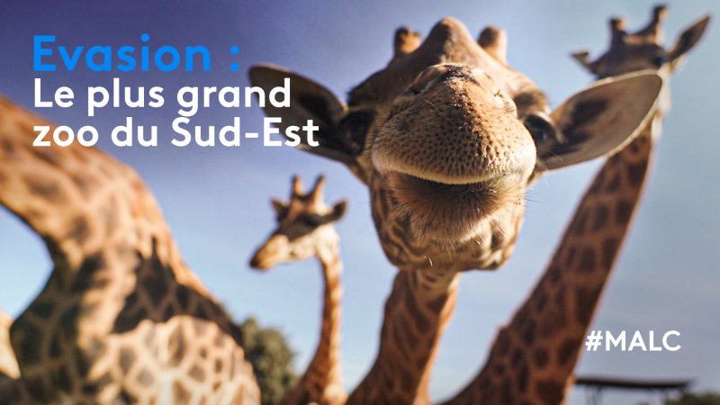 le plus grand zoo du sud est de la france