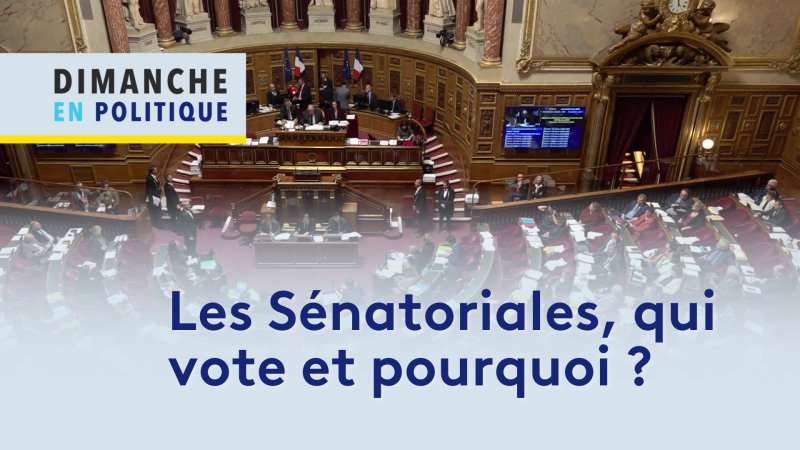 Les élections Sénatoriales, Qui Vote Et Pourquoi ? En Replay - Dimanche ...