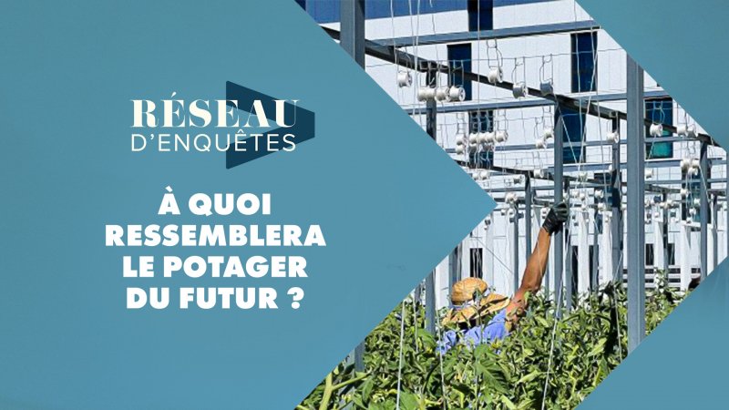 A Quoi Ressemblera Le Potager Du Futur ? En Replay - Réseau D'enquêtes