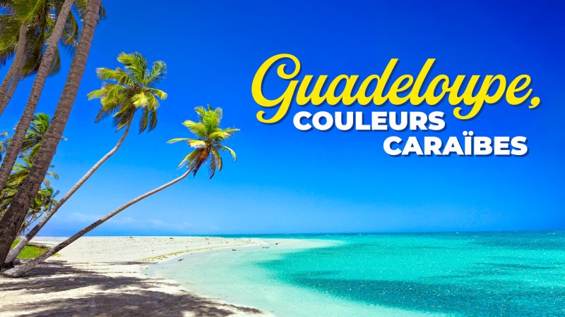 Echappees Belles Guadeloupe Couleurs Caraibes En Streaming Replay France 3 France Tv