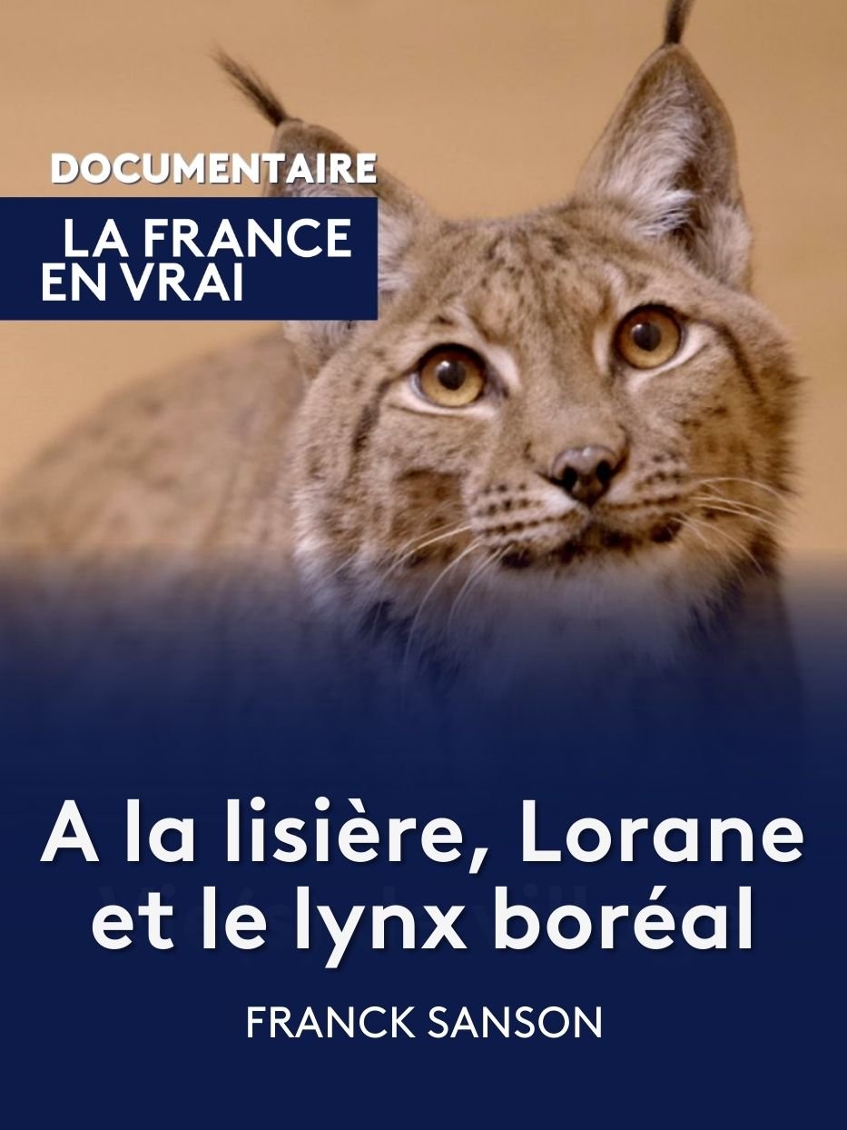 France: le lynx des montagnes du Jura