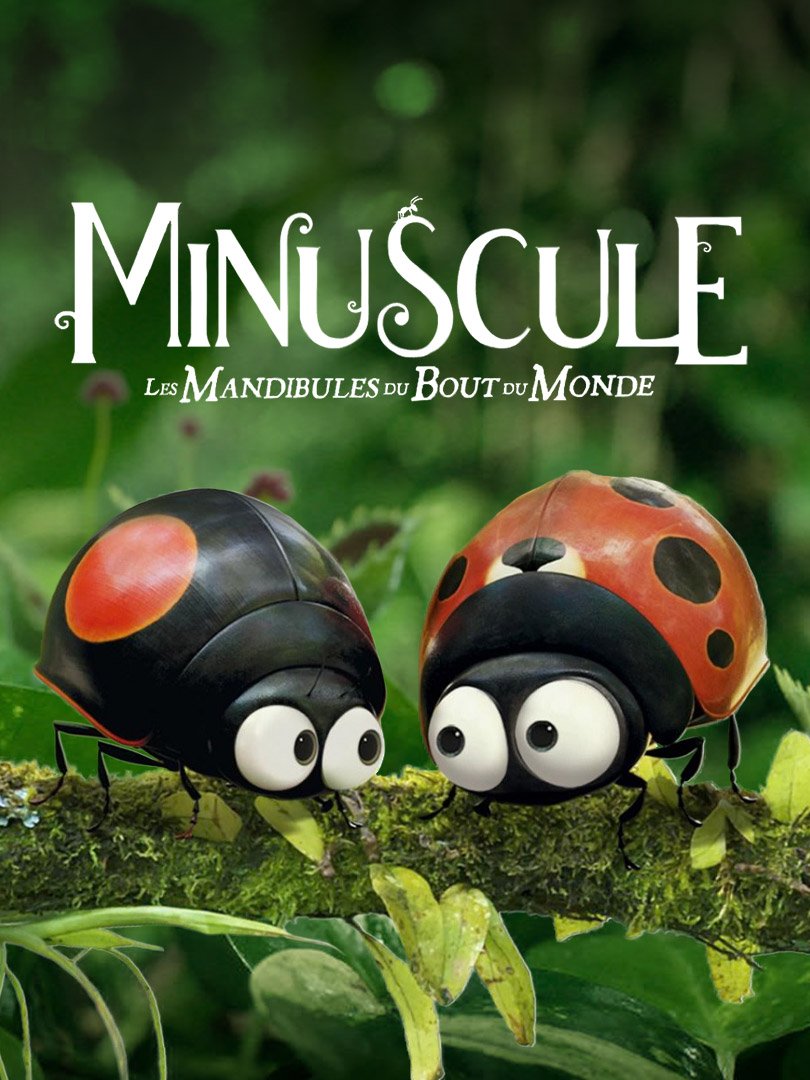 Minuscule 2 : les mandibules du bout du monde