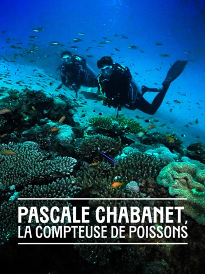 Pascale Chabanet, la compteuse de poisson - vidéo undefined - france.tv