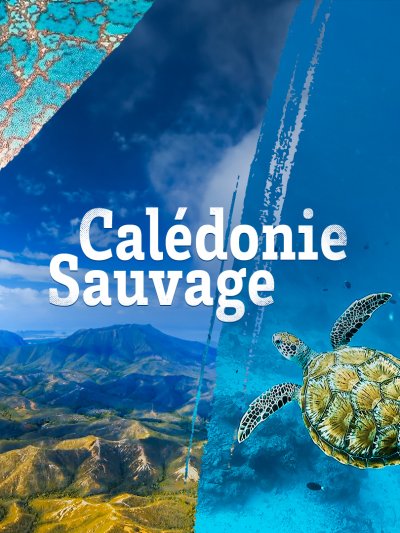 Calédonie sauvage de Nouvelle-Calédonie - france.tv