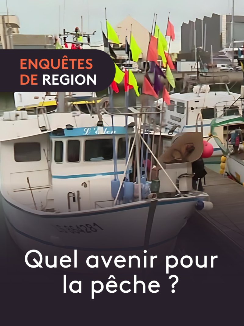 Quel avenir pour la pêche en Pays de la Loire ? - vidéo undefined - france.tv