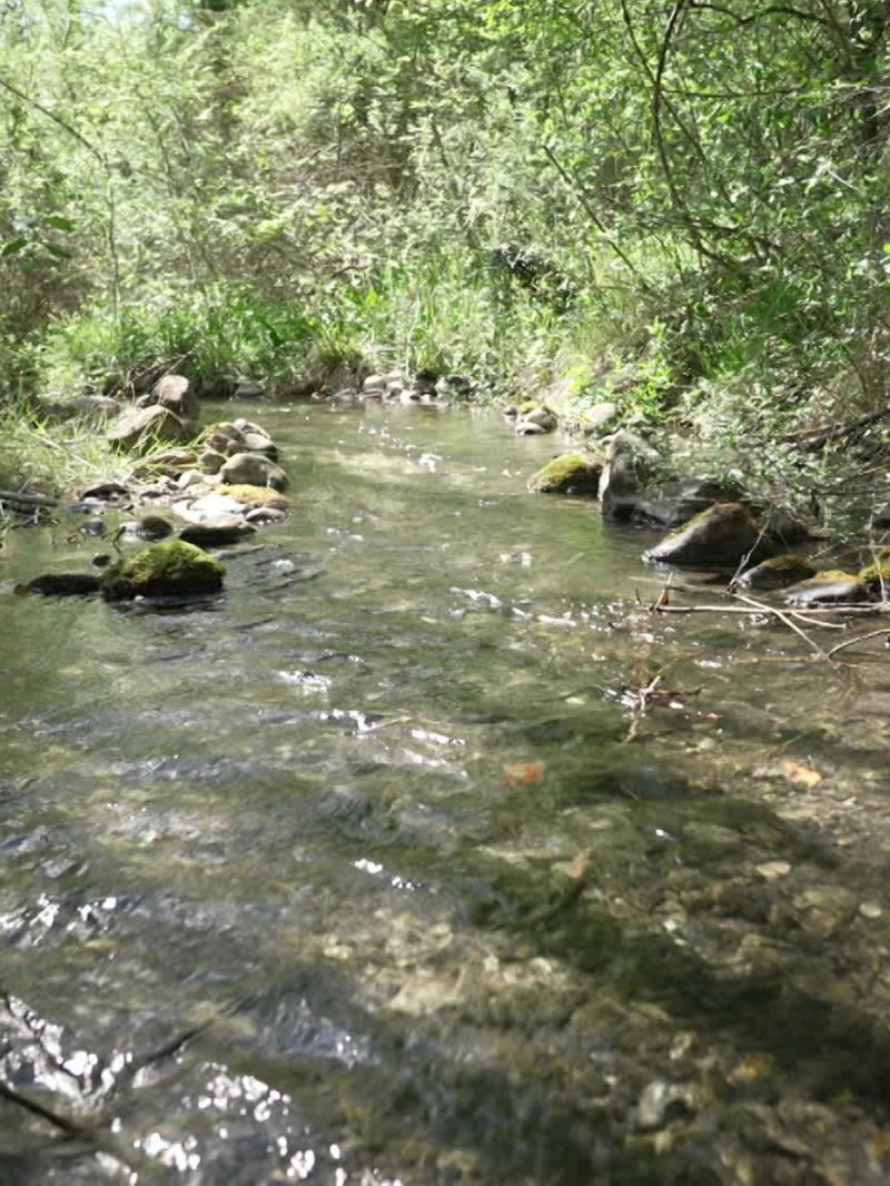 Biodiversité en Provence - vidéo undefined - france.tv